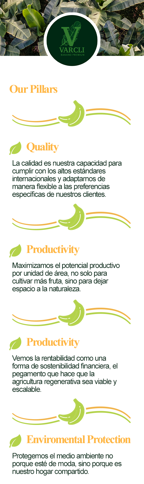 Demo DL: Eco Healthy Bananas