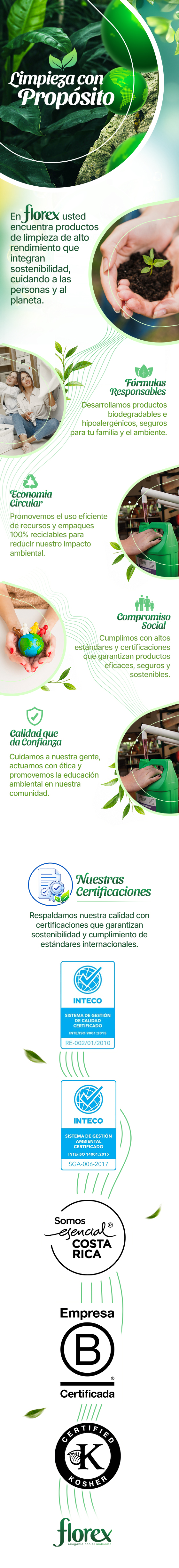 Demo DL: Detergente Líquido