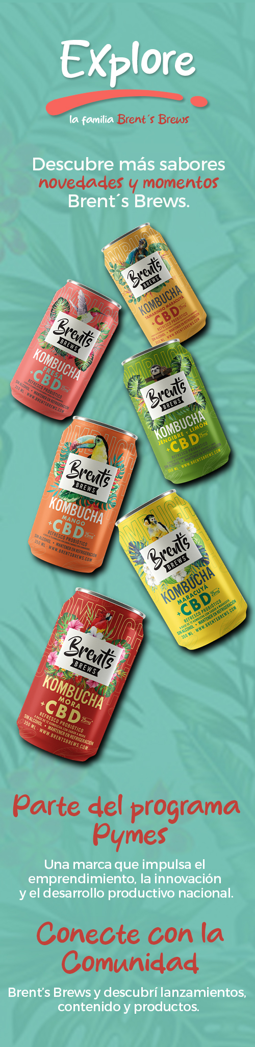 Demo DL: Kombucha Fresa con CBD