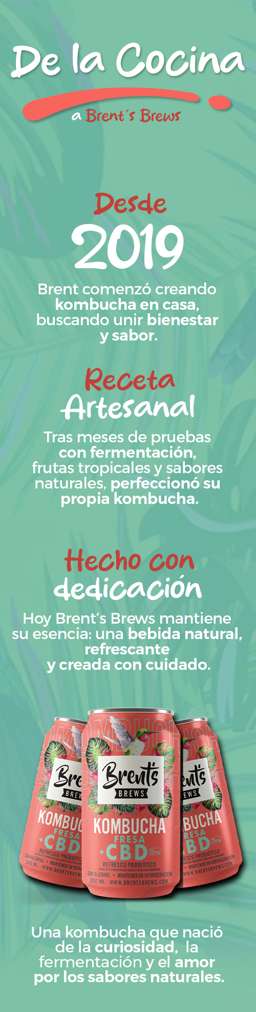 Demo DL: Kombucha Fresa con CBD