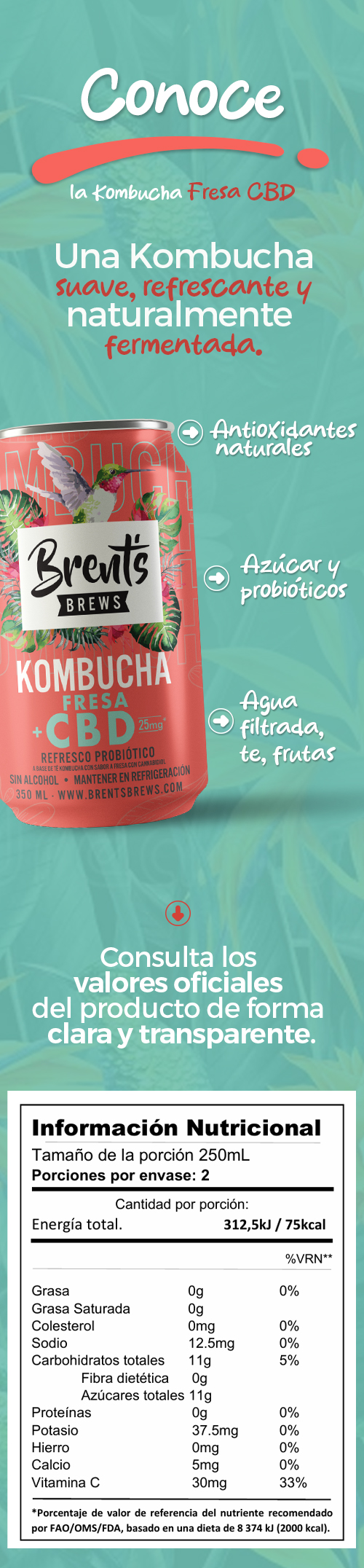 Demo DL: Kombucha Fresa con CBD